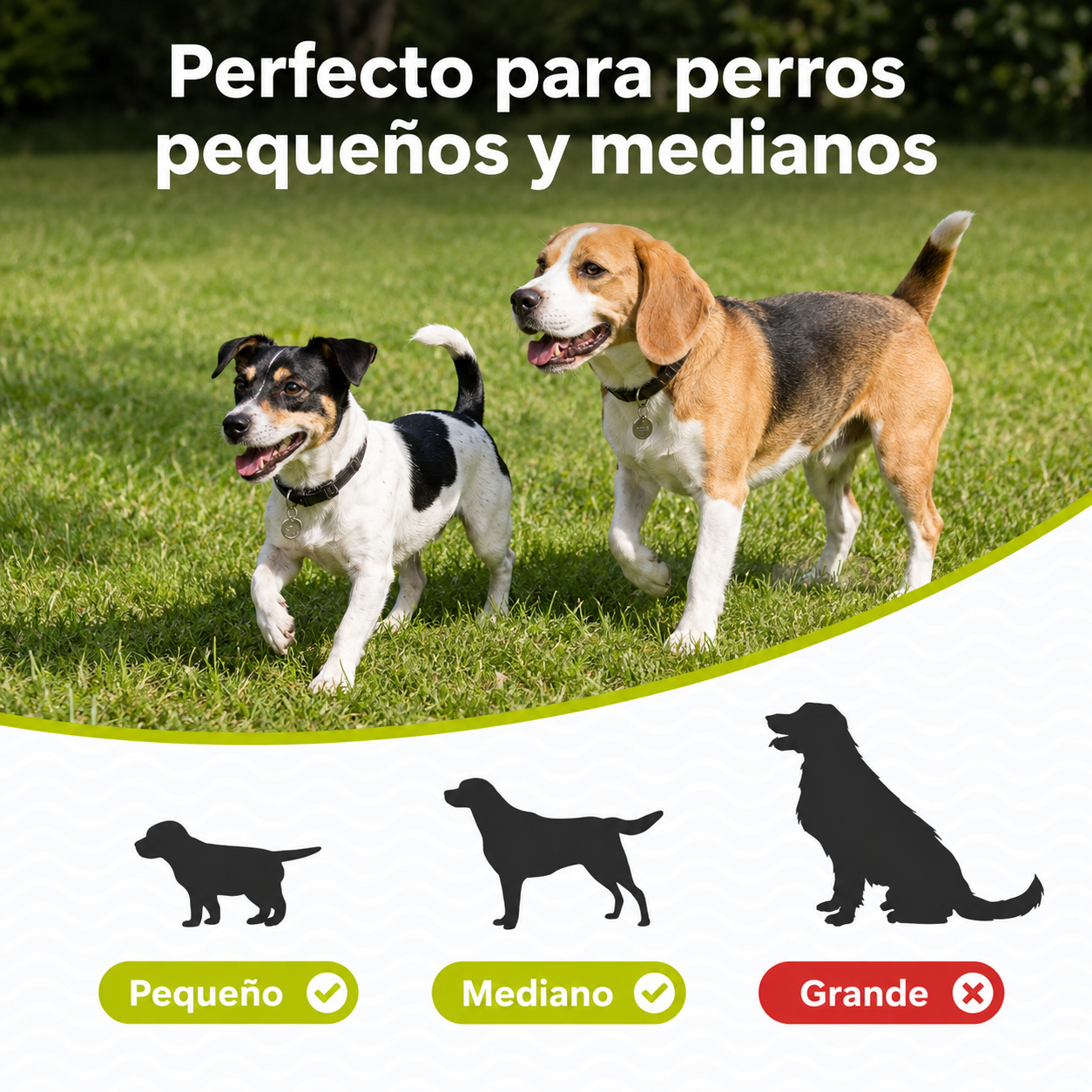 Lanzador Automático de Pelotas para Perros
